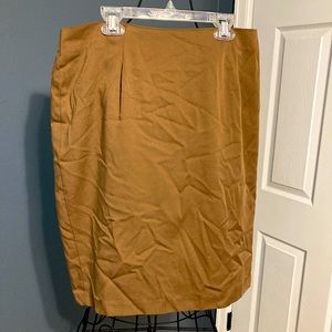 Tan/gold pencil skirt.